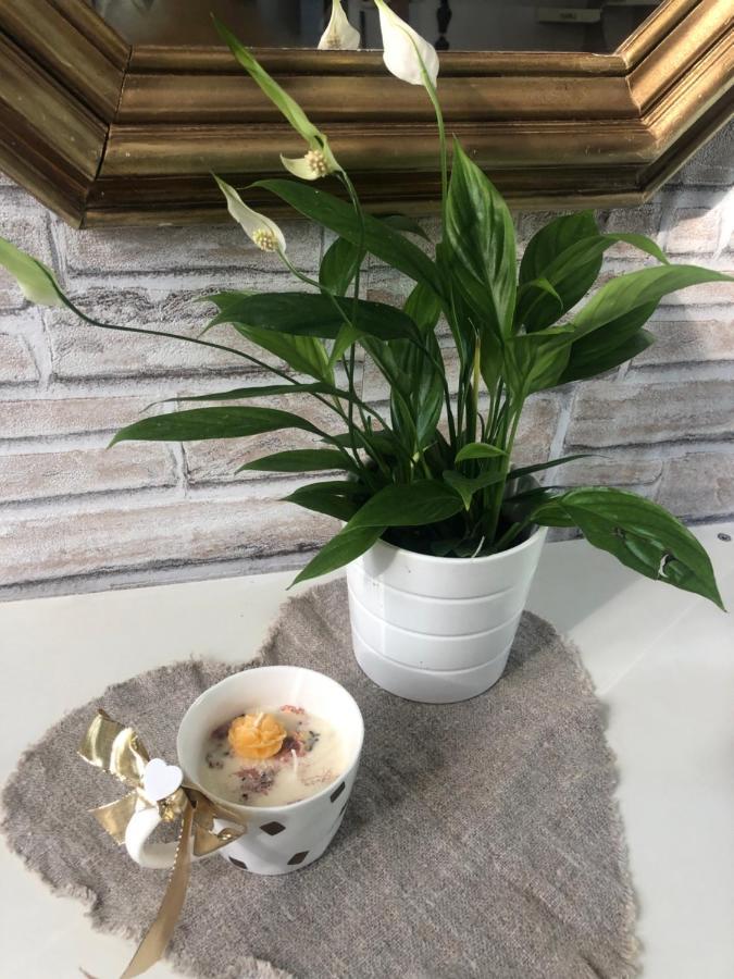 Apartament Casa Nonna Elide Besozzo Zewnętrze zdjęcie